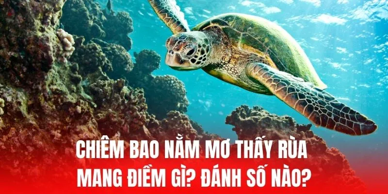 Lợi ích khi tham gia hội viên trực tuyến Loto288 - Loto288