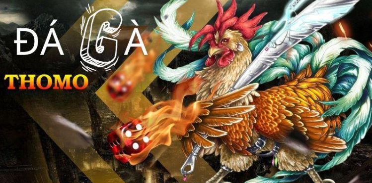 Lý do chọn chơi bài ba lá tại Iwin - Iwin