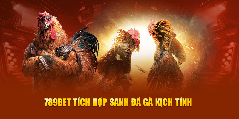 Xếp hạng Jili có đáng tin cậy không? - Jili