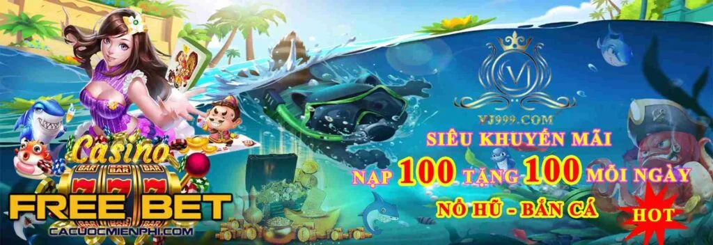Thông tin liên hệ và hỗ trợ khách hàng của Betvnd - Betvnd