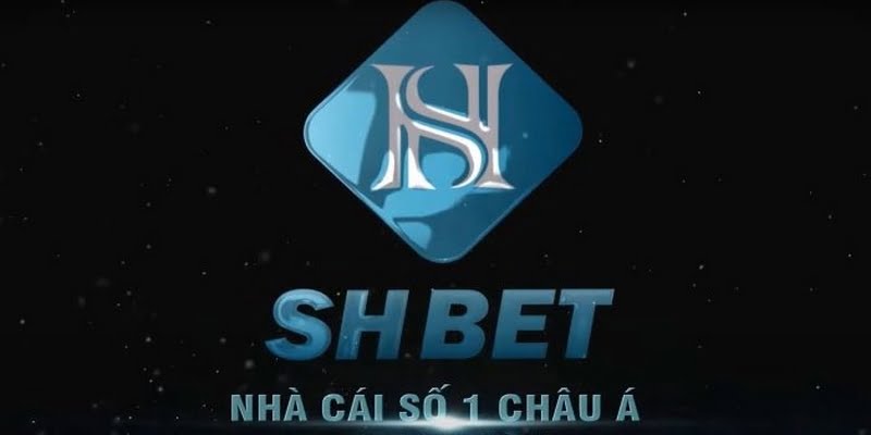 D9bet Gaming cung cấp các dịch vụ cá cược hấp dẫn nhất - D9bet