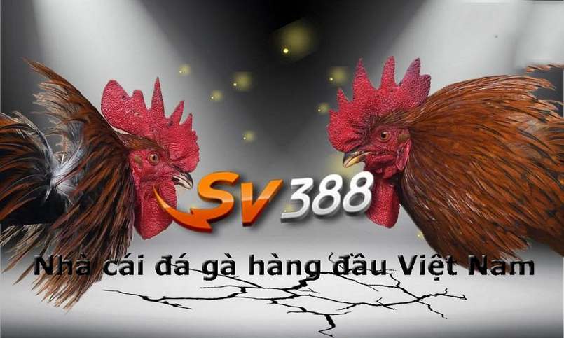 Tổng quan về trang web game Vn6: Đó là gì? - Vn6