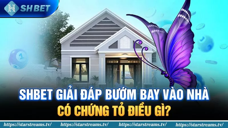 Những điều cần lưu ý khi đặt cược vào các trò chơi của các công ty cá cược được xếp hạng Me88 - Me88